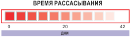 Время рассасывания нити Атрамат ПГЛА90 Рапид