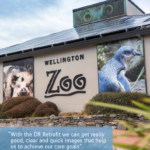 Зоопарк Wellington Zoo в Новой Зеландии